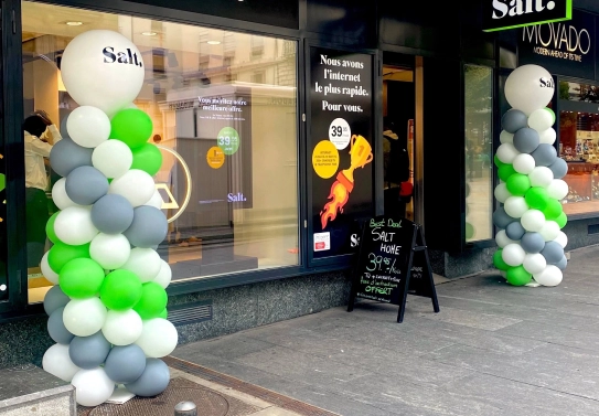 Organic baloon garland