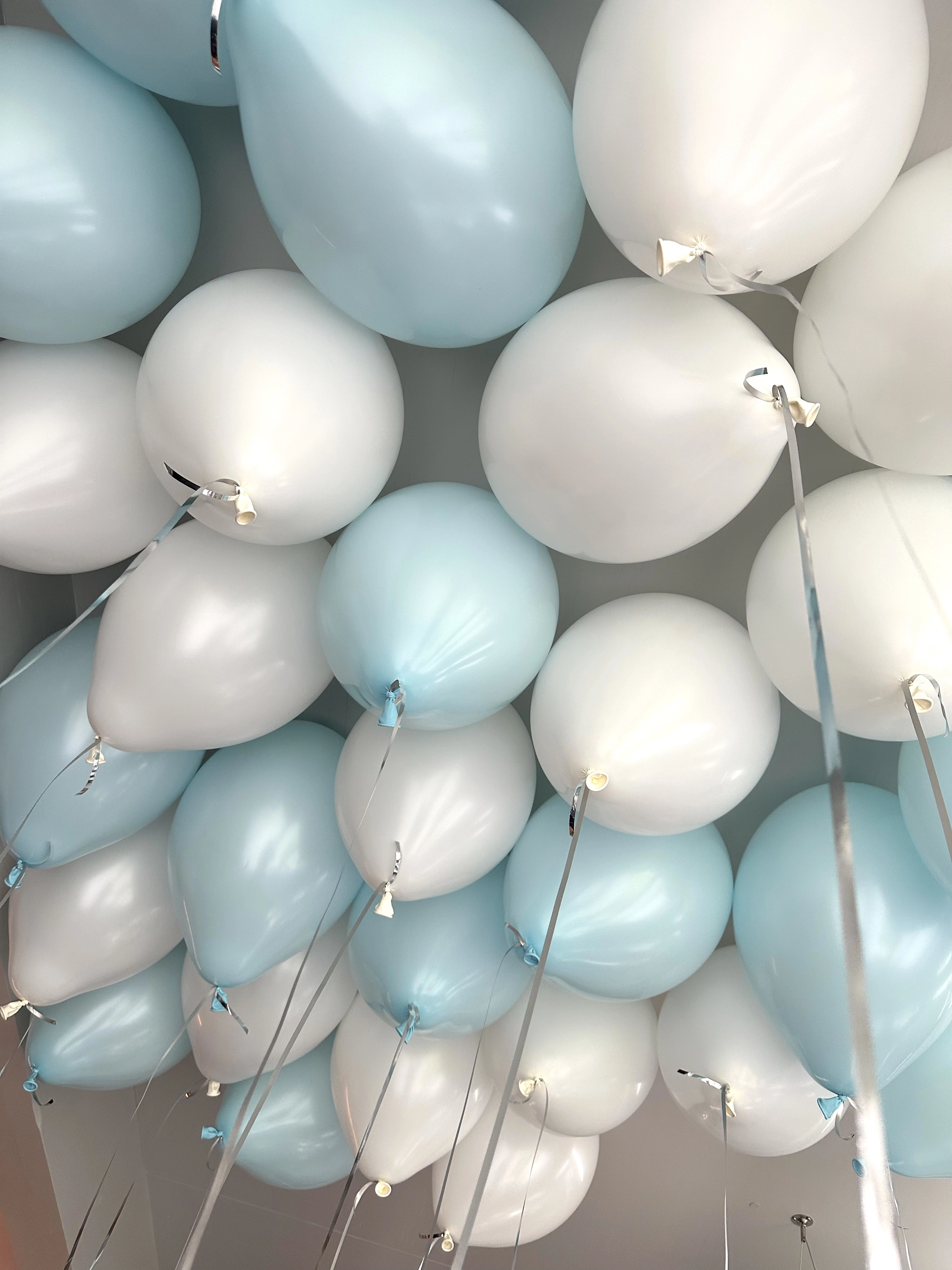 Balloon Ceiling (50 pieces)